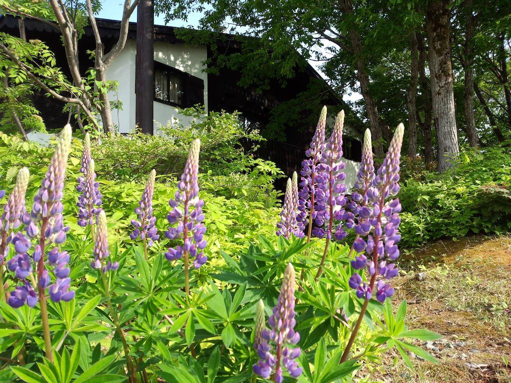 Alp Bach Madarao Villa Iiyama Bagian luar foto